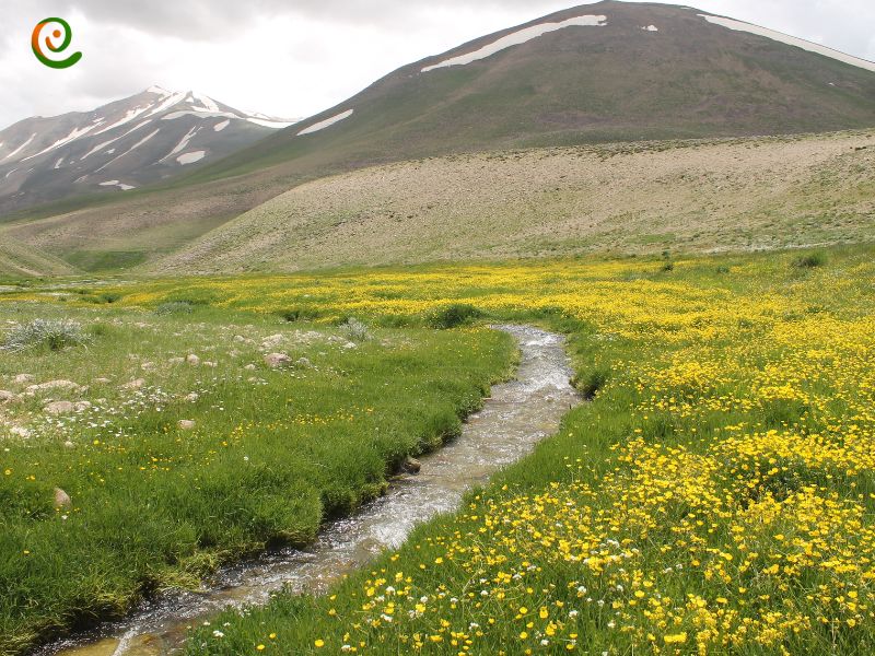 درباره قله کمال یکی از قله های پروژه سیمرغ کوه های ایران با این مقاله از دکوول همراه باشید.